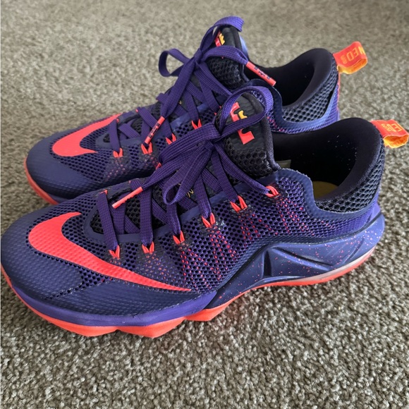 Other - Nike LeBron 12 Low Court Purple